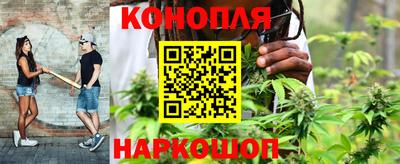 Альфа ПВП Заволжье
