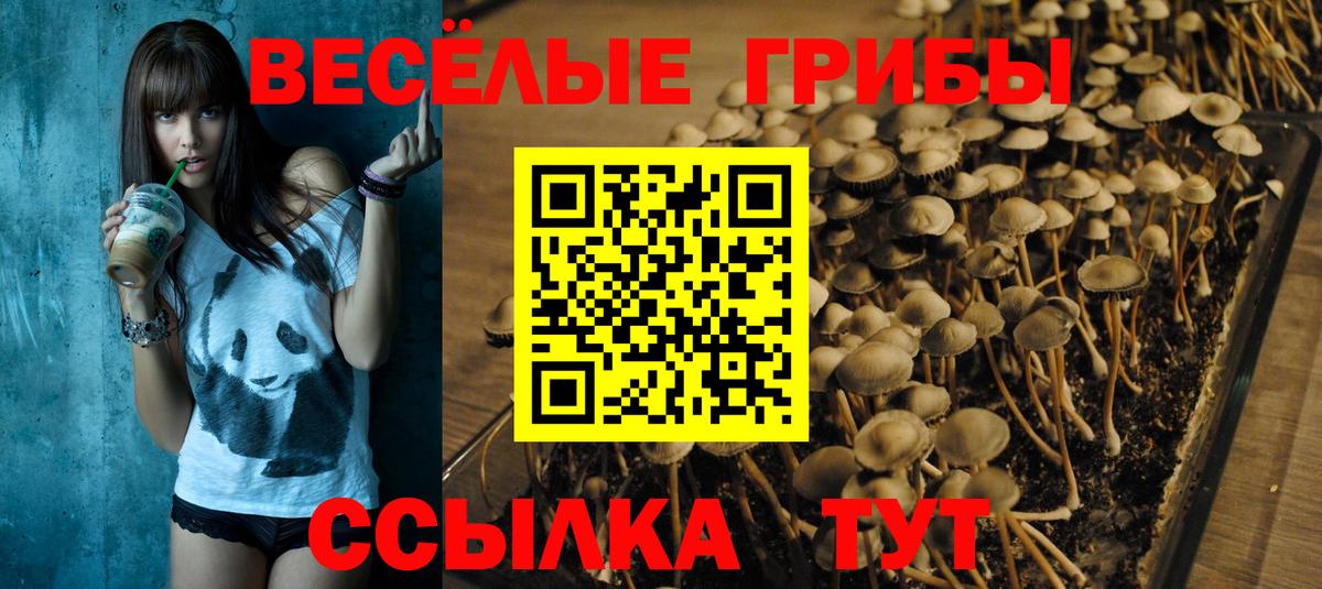 Галлюциногенные грибы Magic Shrooms  Вход с VPN  Псилоцибиновые грибы Magic Shrooms  Заводоуковск 